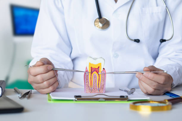 Best Emergency Treatment for Dental Infections or Abscesses in Oak Valley, NJ